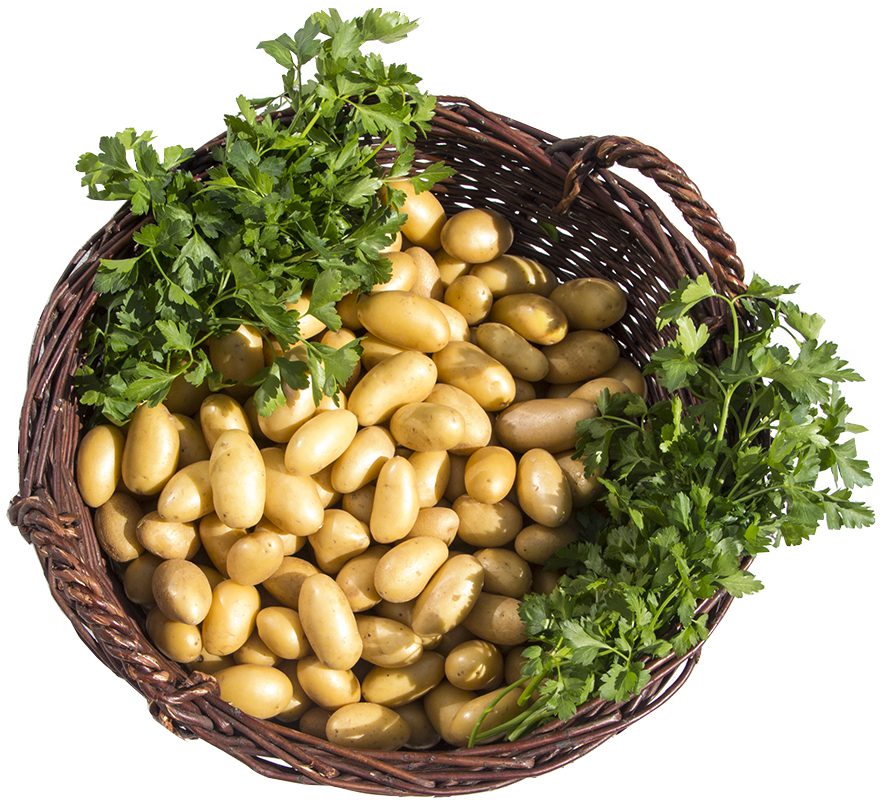 Kartoffelkorb_frei
